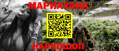 прущие грибы Будённовск