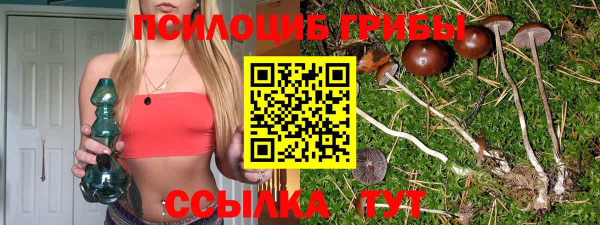 Галлюциногенные грибы MAGIC MUSHROOMS  Вход с VPN  Протвино 